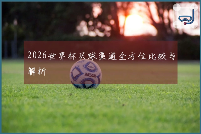 2026世界杯买球渠道全方位比较与解析