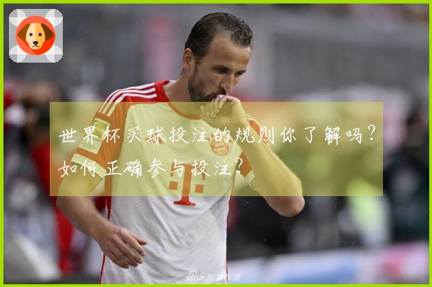 世界杯买球投注的规则你了解吗？如何正确参与投注？