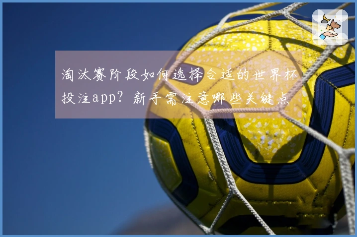 淘汰赛阶段如何选择合适的世界杯投注app？新手需注意哪些关键点