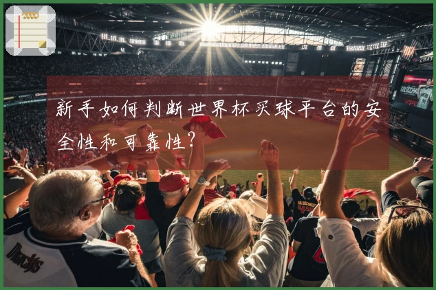 新手如何判断世界杯买球平台的安全性和可靠性？