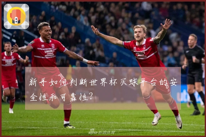 新手如何判断世界杯买球平台的安全性和可靠性？