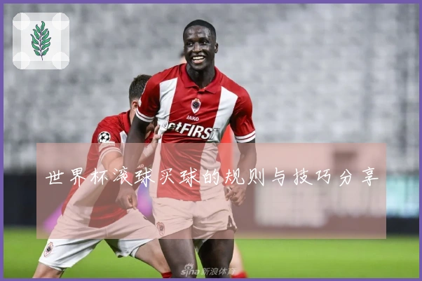 世界杯滚球买球的规则与技巧分享